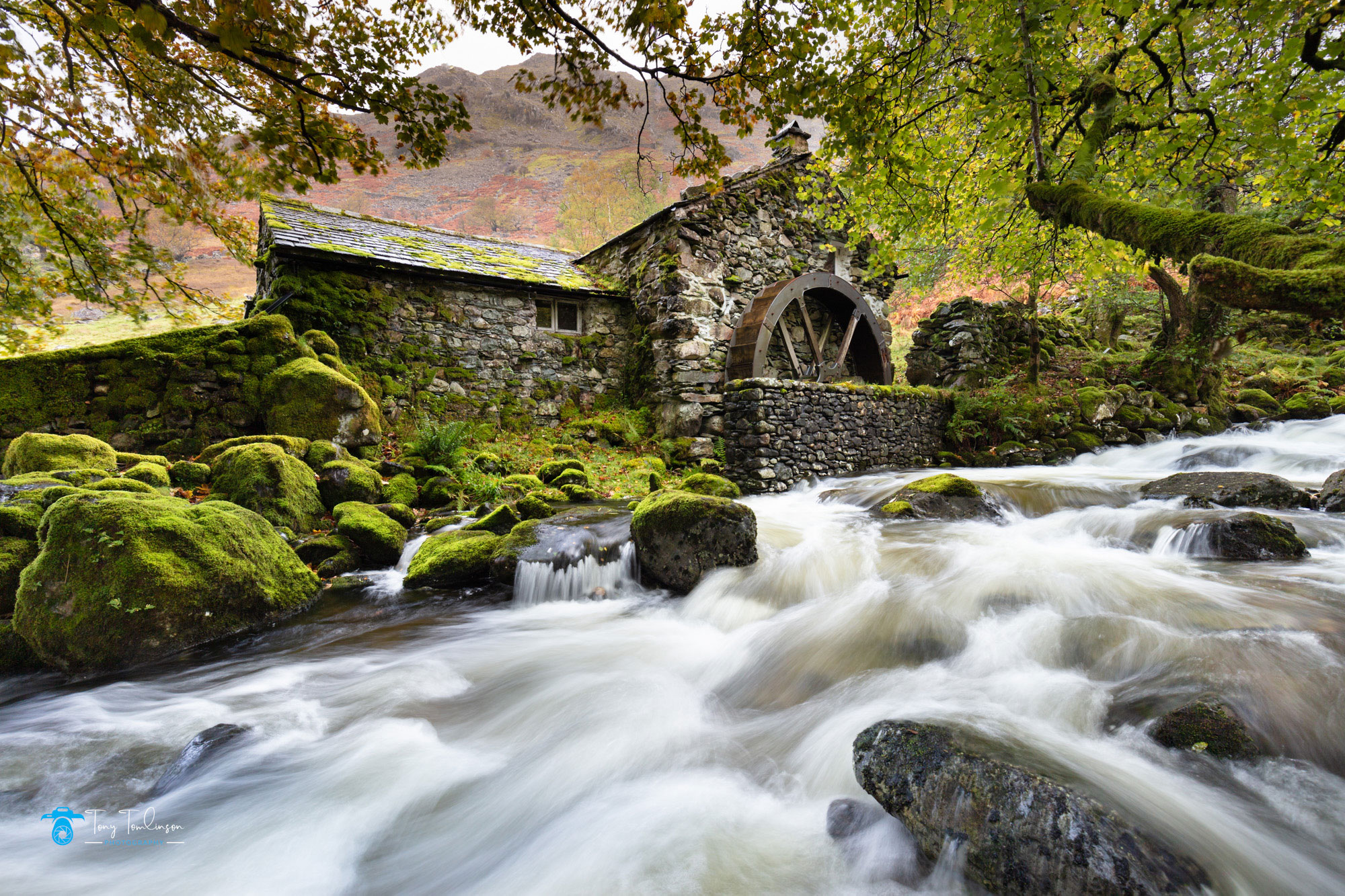 Tony-Tomlinson-Photography-Old Mill-Borrowdale-Lake District