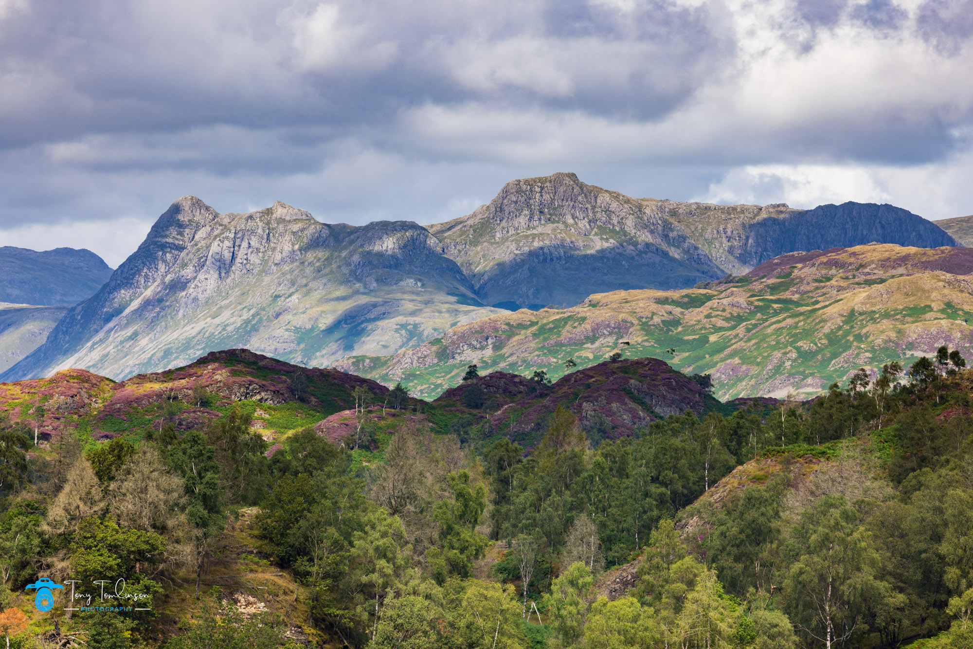 tony-tomlinson-photography-Langdale-Holme-Fell-summer