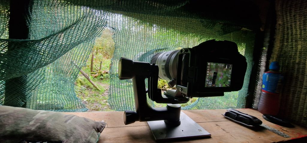 A visit to the Cumbria Woodland Photography Hide