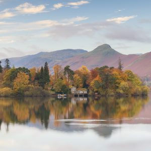 Derwent Island, in Derwent Water, Keswick in the English Lake District dressed in Autumnal colours. tony-tomlinson-photography.