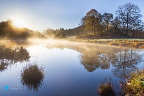 A Magical Mornings Photography