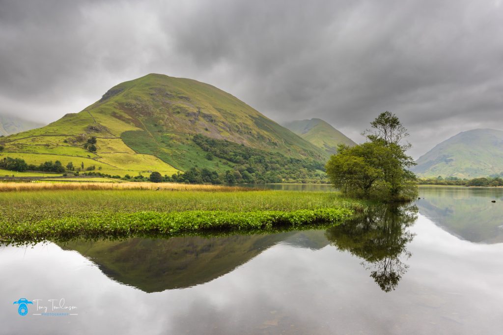 tony-tomlinson-photography, Ullswater, Hartsop-Dodd, Copse-of-trees