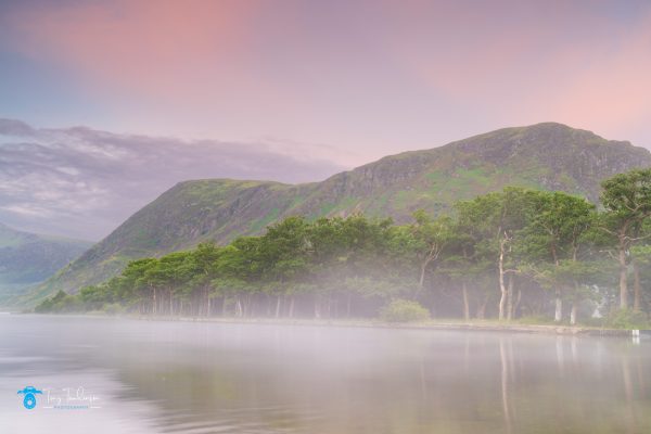 ony-Tomlinson-Photography.co.uk, Crummock-Water, Sunrise, Summer,