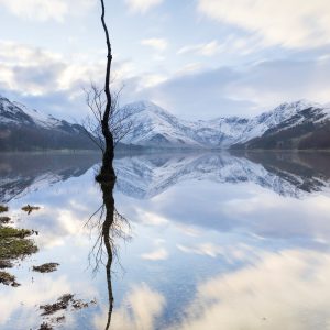 tony-tomlinson-photography, buttermere-lone-tree-lake-district