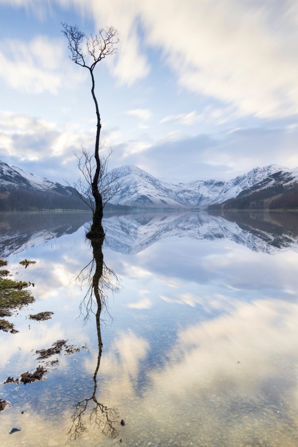 tony-tomlinson-photography, buttermere-lone-tree-lake-district