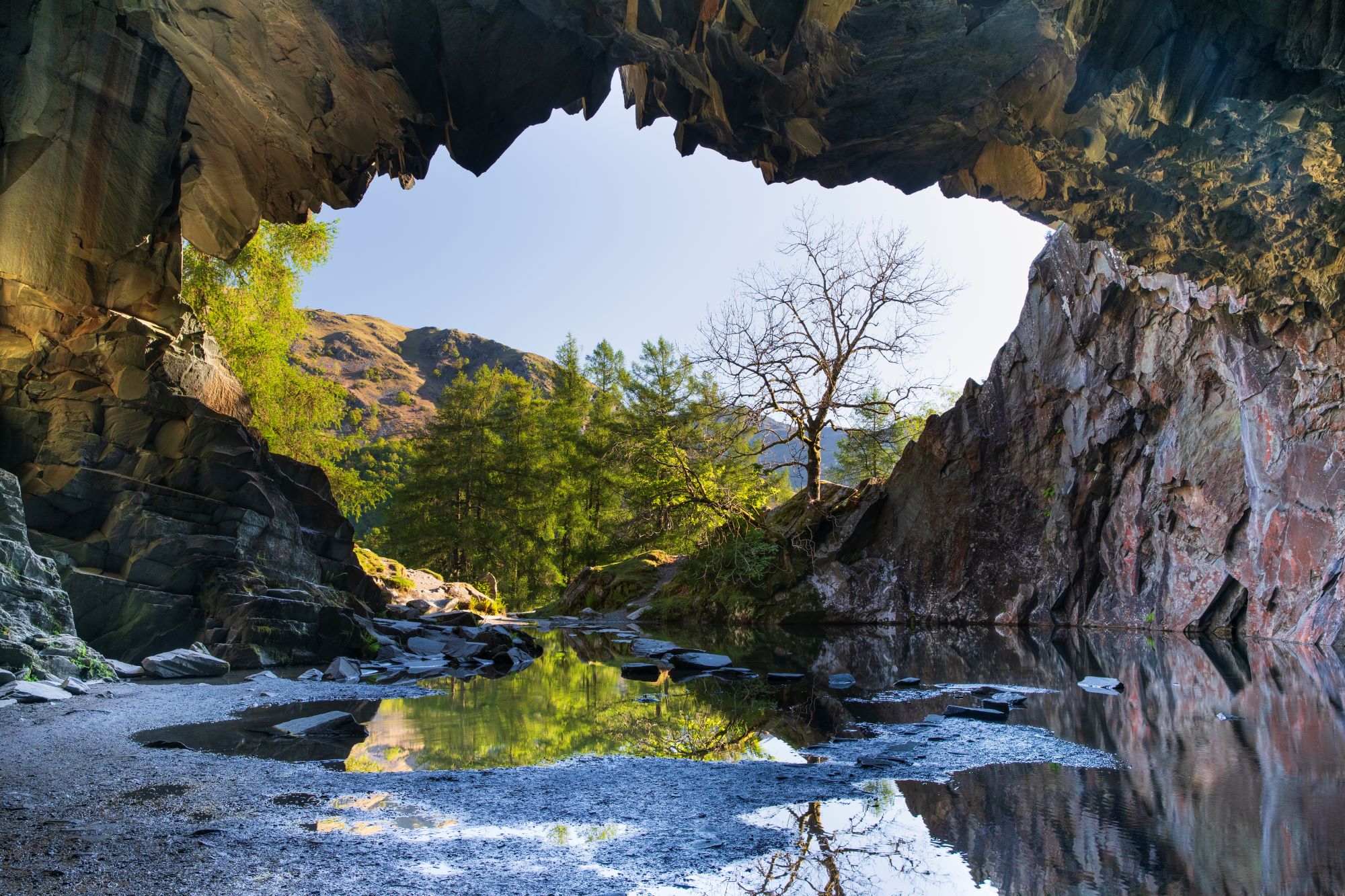 Tony-Tomlinson-Photography-Buttermere-lone-tree-lake-district