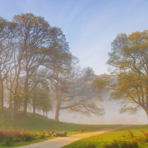 tony-tomlinson-photography, River-Brathay-Elterwater-trees-mist-lake-district