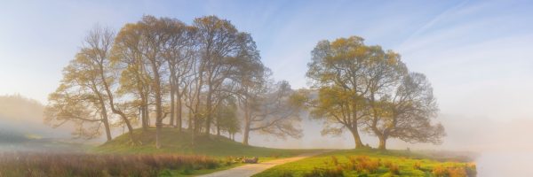 tony-tomlinson-photography, River-Brathay-Elterwater-trees-mist-lake-district