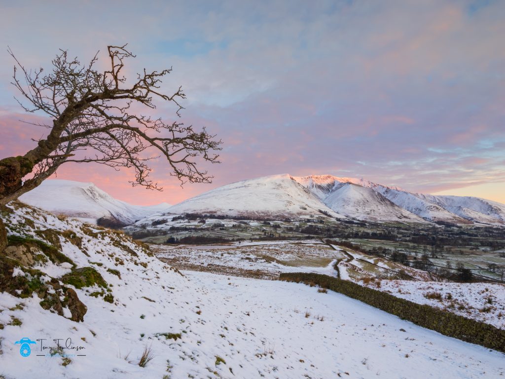 lone-tree, Tewet-Tarn, sunrise, Blencathra, tony-tomlinson-photography