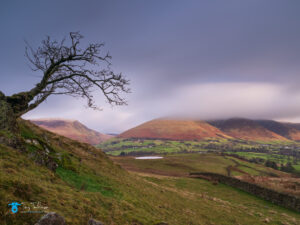 Cumbria, lake-district, Landscape, Lond-Exposure, Lone-Tree, tewet-tarn, tony-tomlinson-photography, UK, winter