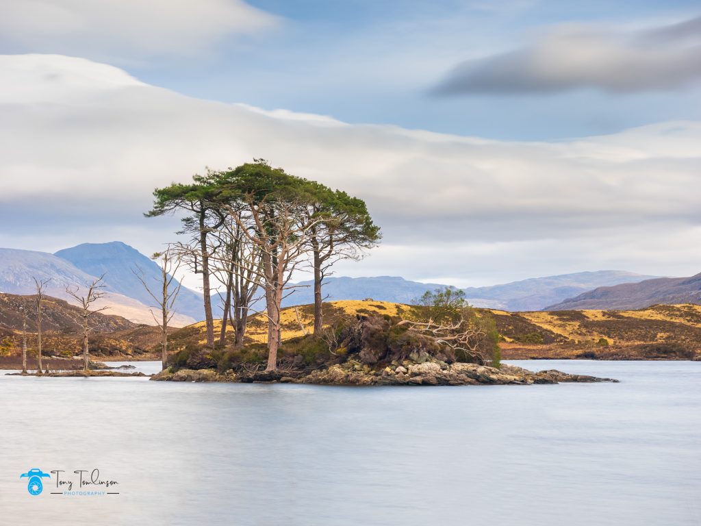 Assynt, Island, Landscape, Loch Assynt, Scotland, Scottish Highlands, tony-tomlinson-photography, trees, winter