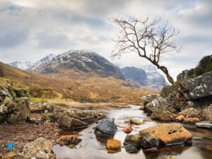 Glencoe, Landscape, Lone Tree, River Coe, Scotland, Scottish Highlands, The Three Sisters, tony-tomlinson-photography, winter