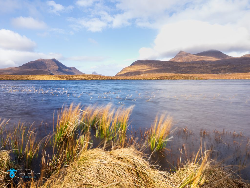 Assynt, Landscape, Lochan an Ais Assynt, reeds, Scotland, Scottish Highlands, Stack Polly, tony-tomlinson-photography, winter