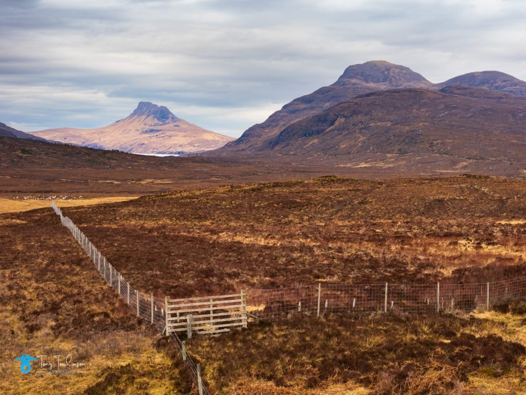 Assynt, Landscape,  Mountains, Scotland, Scottish Highlands, Stac Pollaidh, tony-tomlinson-photography, winter
