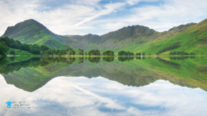 Buttermere, Cumbria, Fells, Lake, lake-district, Landscape, Mountains, Pine-Trees, Reflections, Sentenials, Summer, sunrise, tony-tomlinson-photography, UK