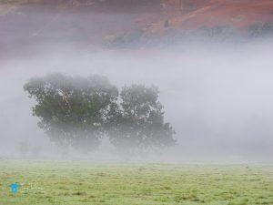 Autumn, Cumbria, lake-district, Landscape, layers, lorton-valley, Mist, sourfoot-fell, sunrise, tony-tomlinson-photography, trees, UK