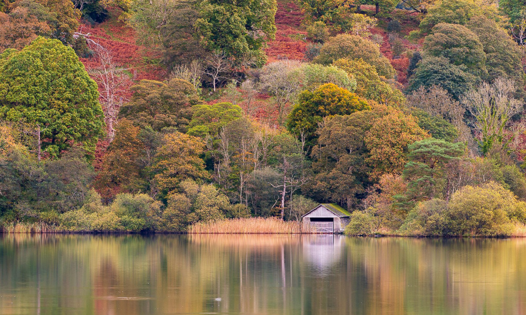 Autumn, Boathouse, Cumbria, Lake, lake-district, Landscape, long-exposure, Rydal-Water, sunrise, tony-tomlinson-photography, trees, UK