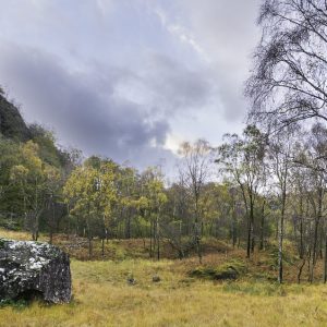 16 x 9, Autumn, Borrowdale-Valley, Cumbria, Cummacatta-Woods, Kings-How, lake-district, Landscape, tony-tomlinson-photography, UK, Woodland