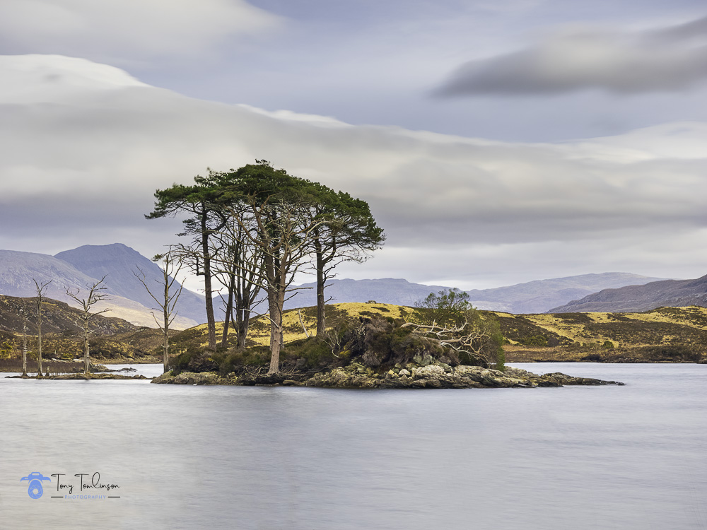 Assynt, Island, Landscape, Loch Assynt, Scotland, Scottish Highlands, tony-tomlinson-photography, trees, winter