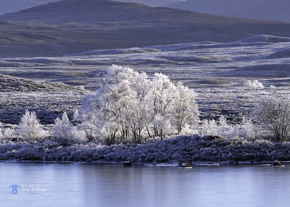 Hoar-Frost, rannoch-moor, Scotland, scottish-highlands, tony-tomlinson-photography, trees, winter