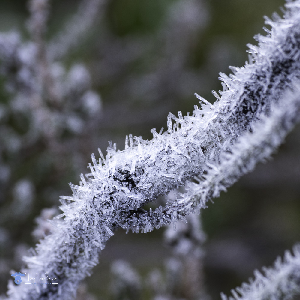 Ice, Lochan-na-h-Achlaise, rannoch-moor, Scotland, scottish-highlands, tony-tomlinson-photography, winter