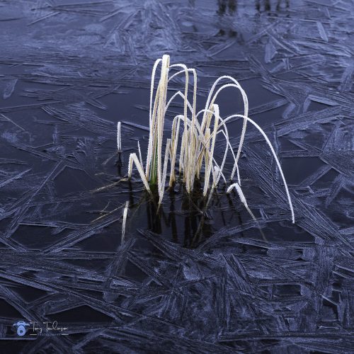 Ice, Lochan-na-h-Achlaise, rannoch-moor, Scotland, scottish-highlands, tony-tomlinson-photography, winter
