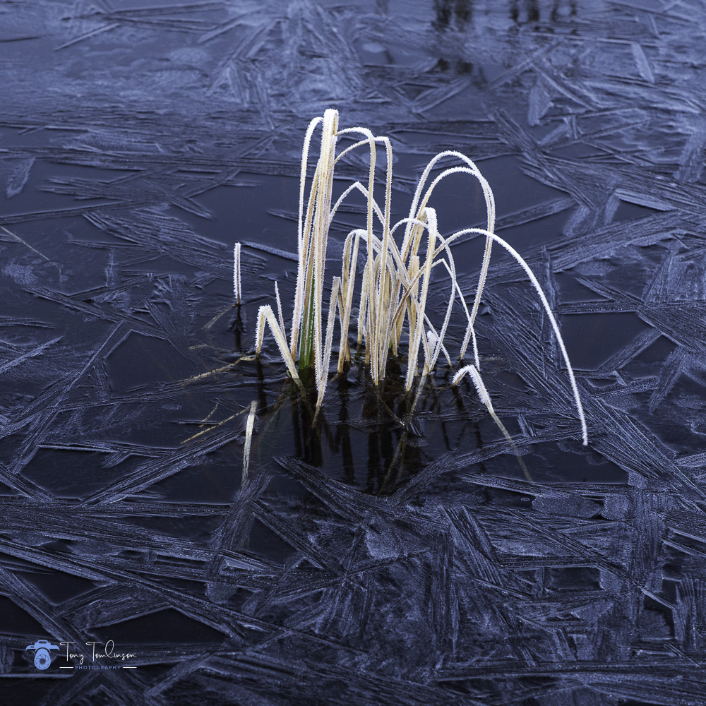 Ice, Lochan-na-h-Achlaise, rannoch-moor, Scotland, scottish-highlands, tony-tomlinson-photography, winter