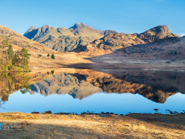 A Marvellous March (For my photography)