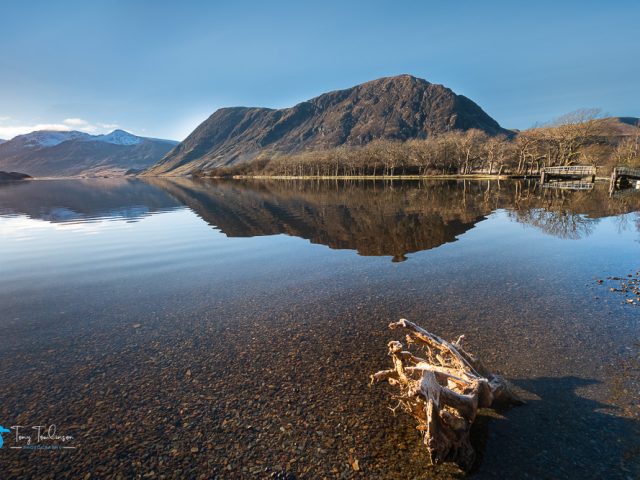 A Frivolous February.