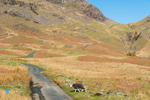 Cumbria, eskdale, eskdale-valley, Evening, Fells, Hardknott-Fell, Hardknott-Pass, lake-district, Landscape, Spring, tony-tomlinson-photography, UK tony-tomlinson-photography, Valley