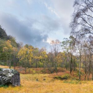 Autumn, Borrowdale-Valley, Cumbria, Cummacatta-Woods, Kings-How, lake-district, Landscape, tony-tomlinson-photography, UK, Woodland