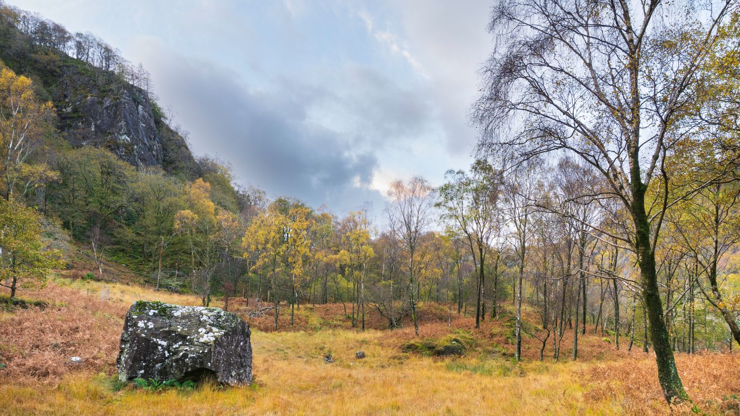 Autumn, Borrowdale-Valley, Cumbria, Cummacatta-Woods, Kings-How, lake-district, Landscape, tony-tomlinson-photography, UK, Woodland