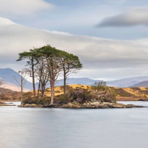 Assynt, Island, Landscape, Loch Assynt, Scotland, Scottish-Highlands, tony-tomlinson-photography, trees, winter