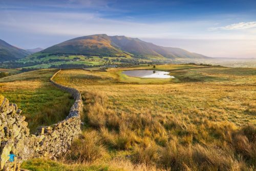 Tewet Tarn