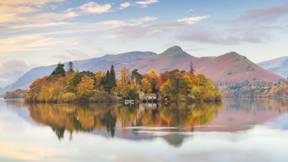 Derwent Island - Autumn